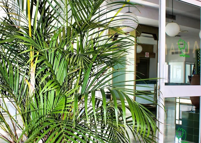 Apartamento Altamira Sunset *