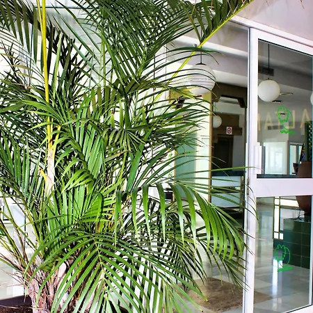 Apartamento Altamira Sunset *